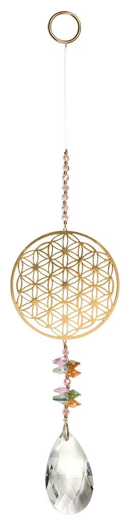 Omm for you · Sonnenfänger