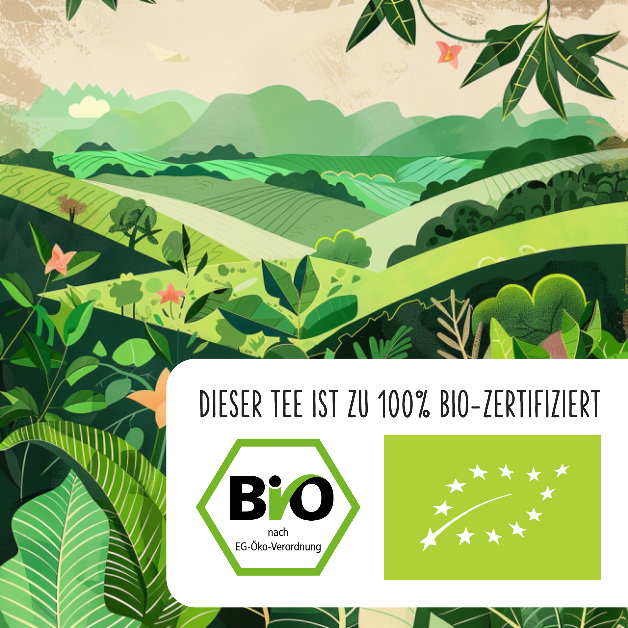 BIO Starker Mann · 100 g loser Tee