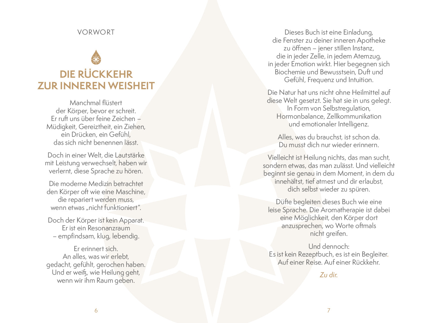 Alexandra Schneider · Öffne die Fenster zu deiner inneren Apotheke