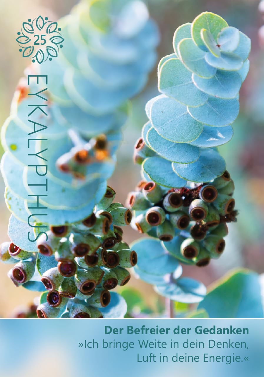 Maria Schasteen · Blütenduft und Seelenkraft · Das Kartenset