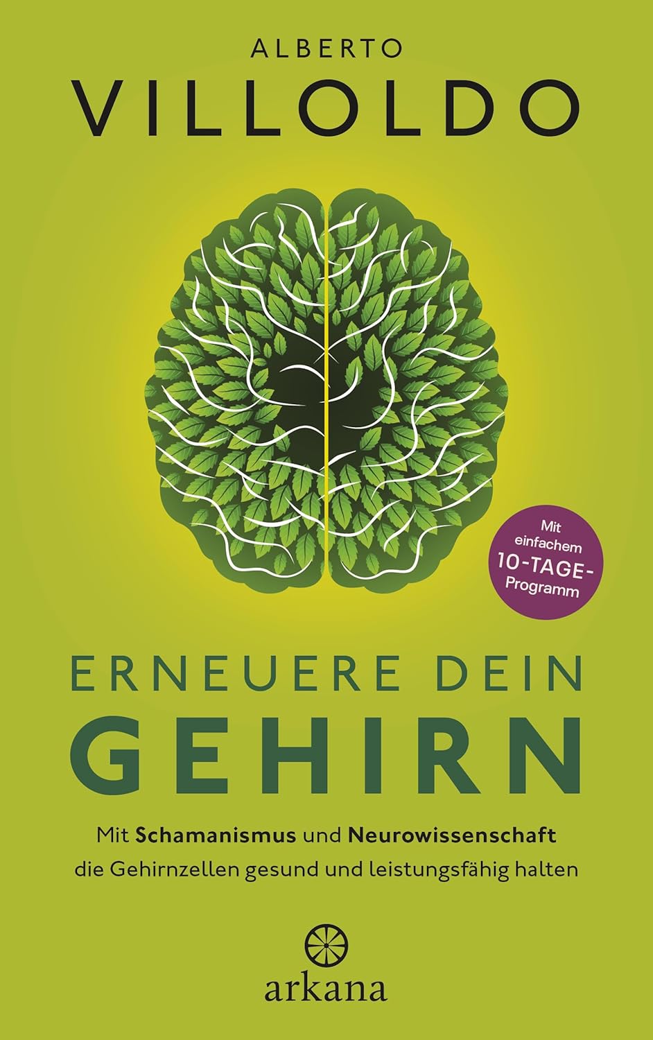 Alberto Villoldo · Erneuere dein Gehirn