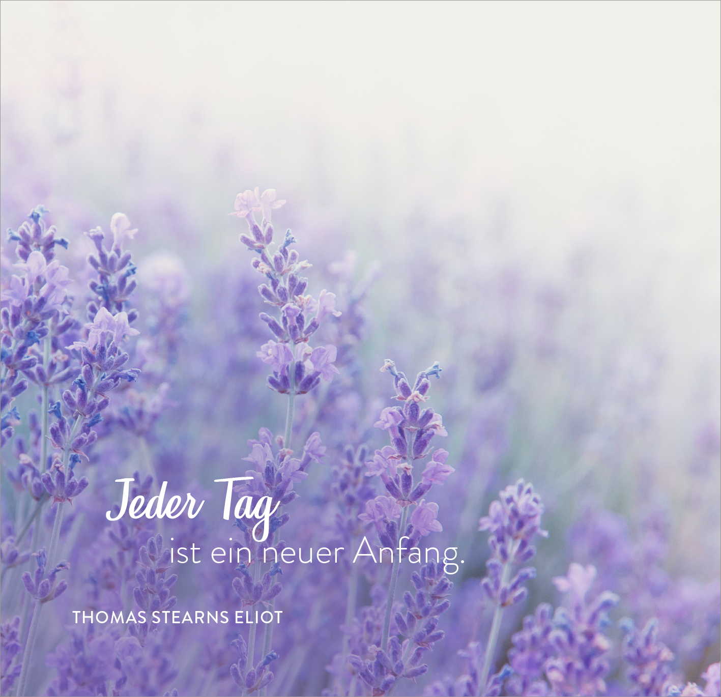 365 Wege, dir alles Gute zu wünschen