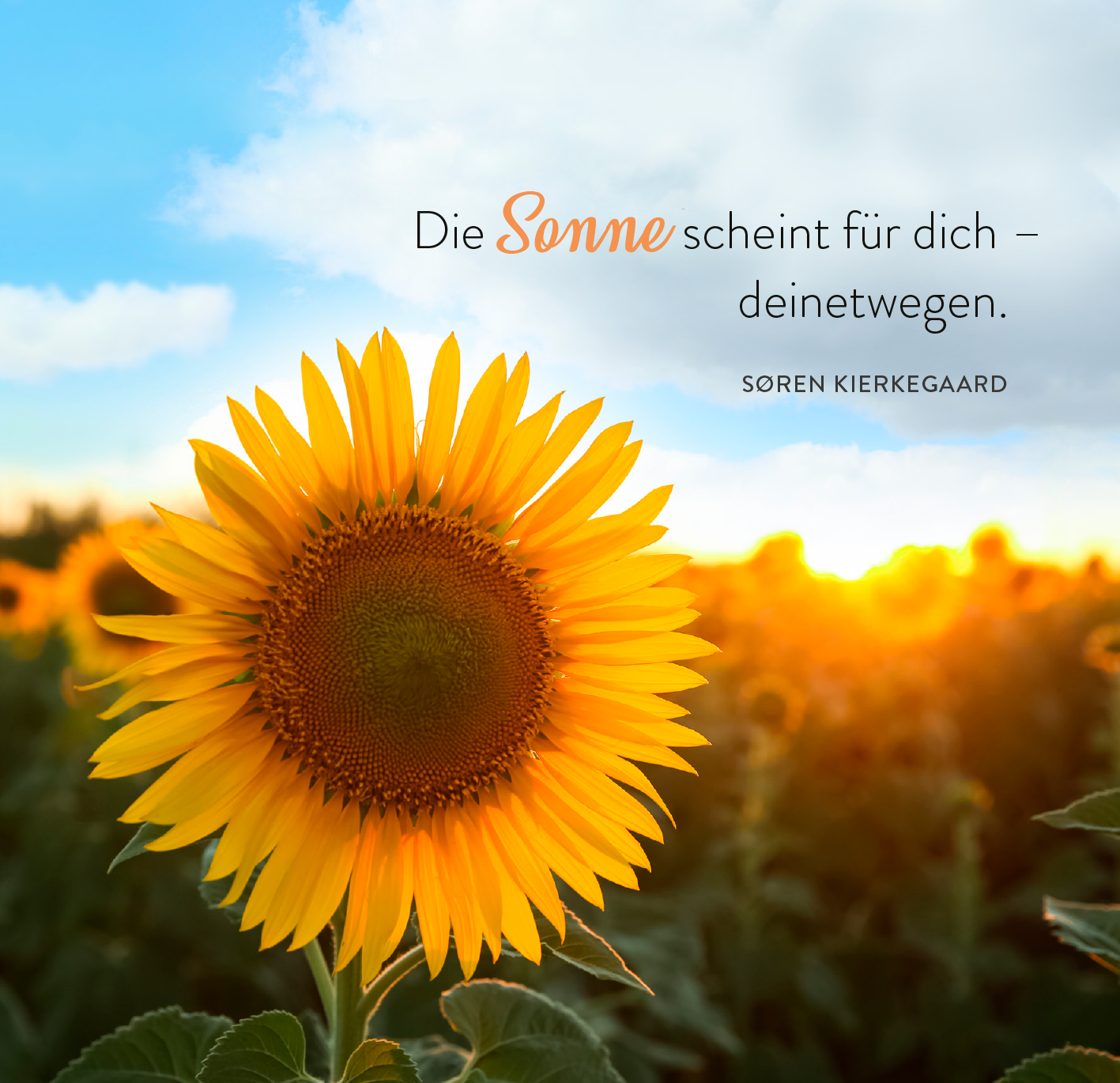 365 Tage Sonne im Herzen