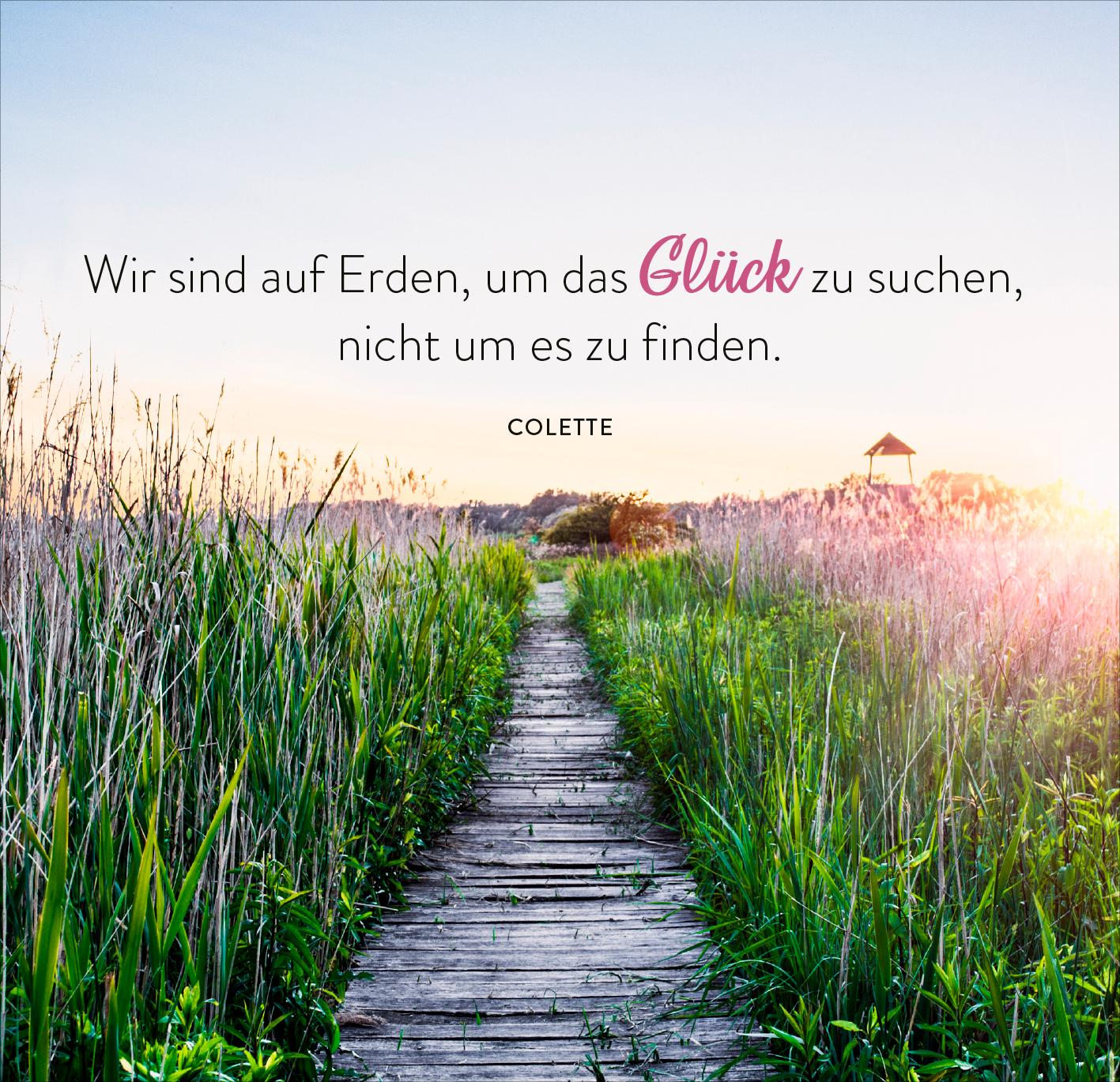 365 Tage einatmen. Ausatmen. Lächeln.