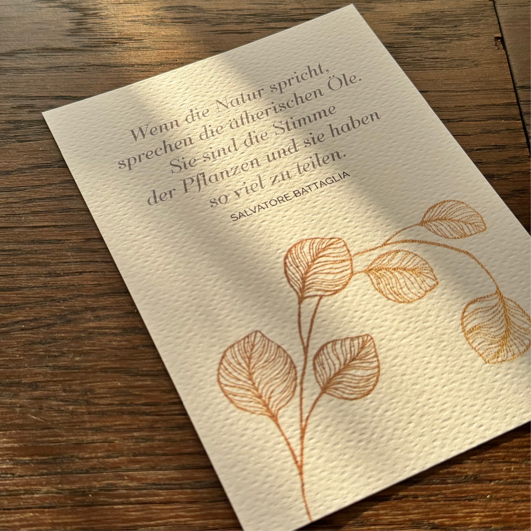 Seelenbalsam · Die Oilando-Postkartenkollektion · 1st Edition
