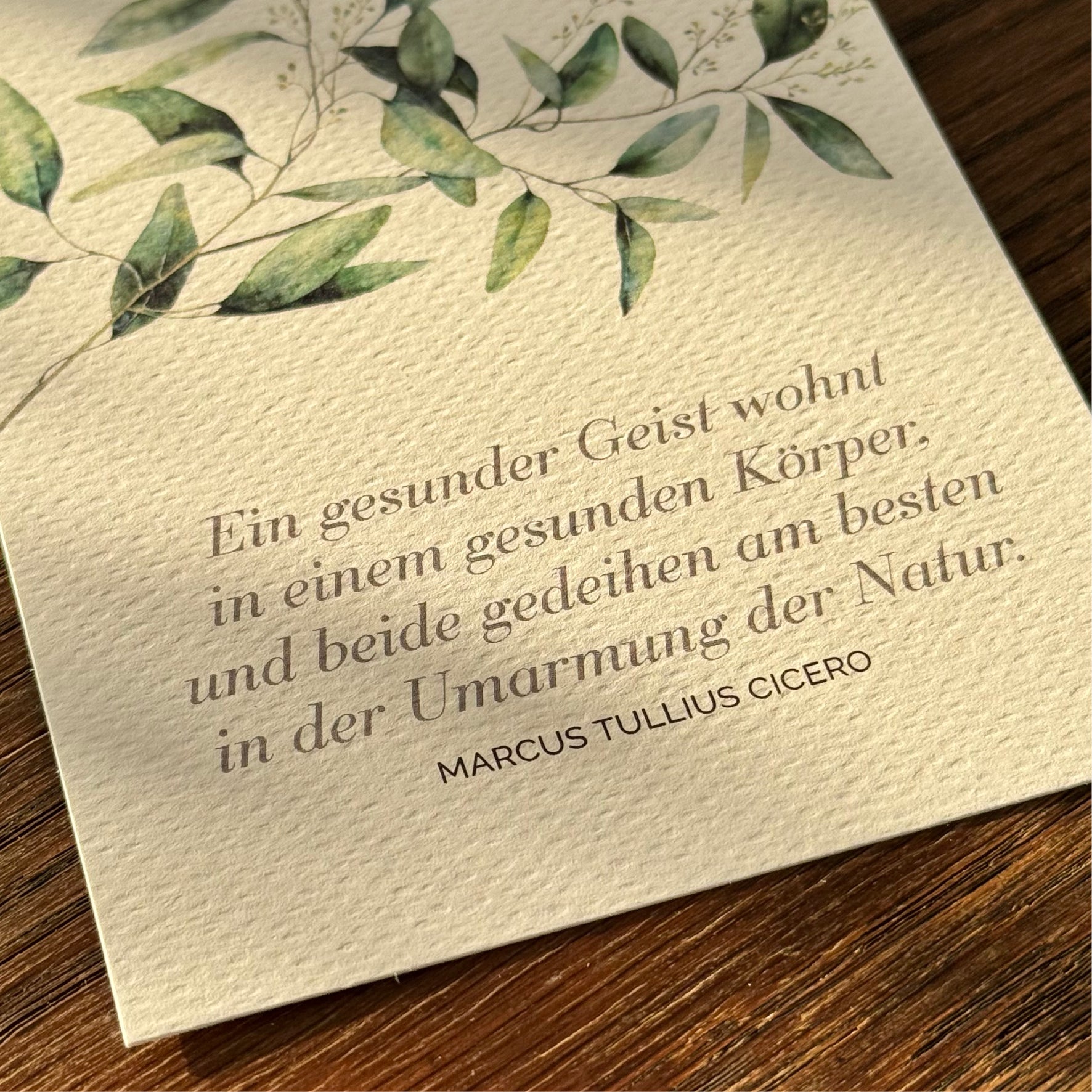 Seelenbalsam · Die Oilando-Postkartenkollektion · 1st Edition