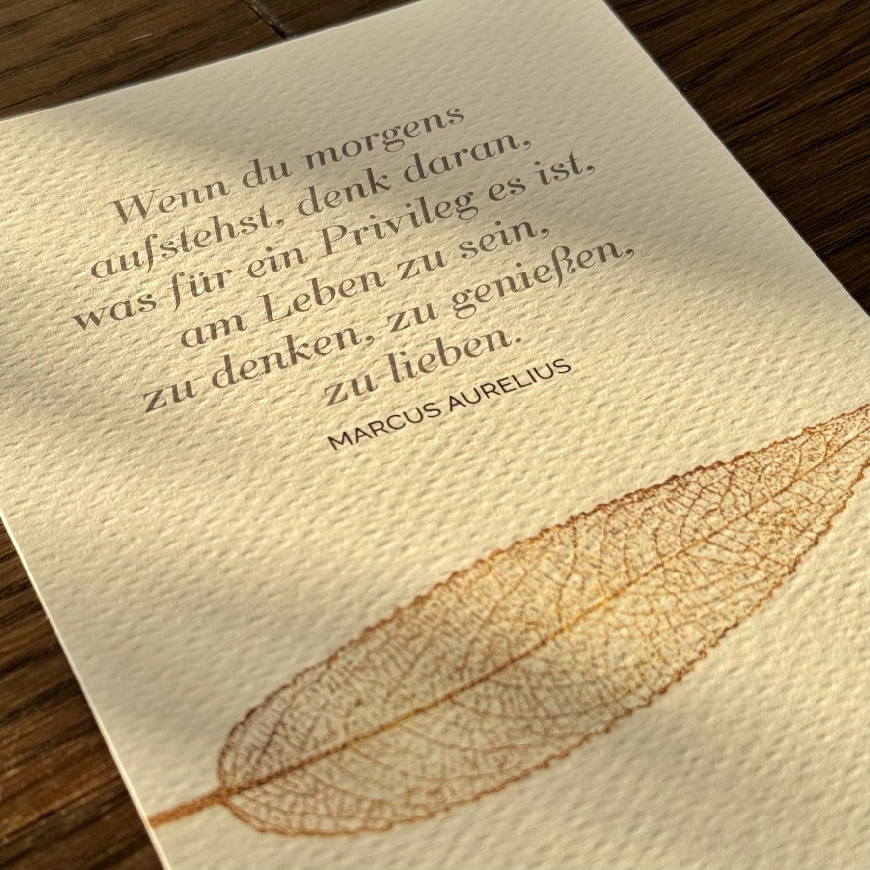 Seelenbalsam · Die Oilando-Postkartenkollektion · 1st Edition