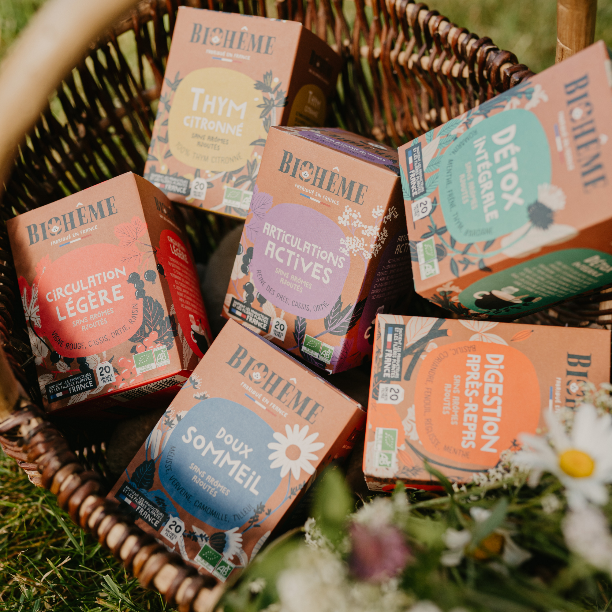 Aktive Gelenke Infusion · 20 Teebeutel · Articulations Actives