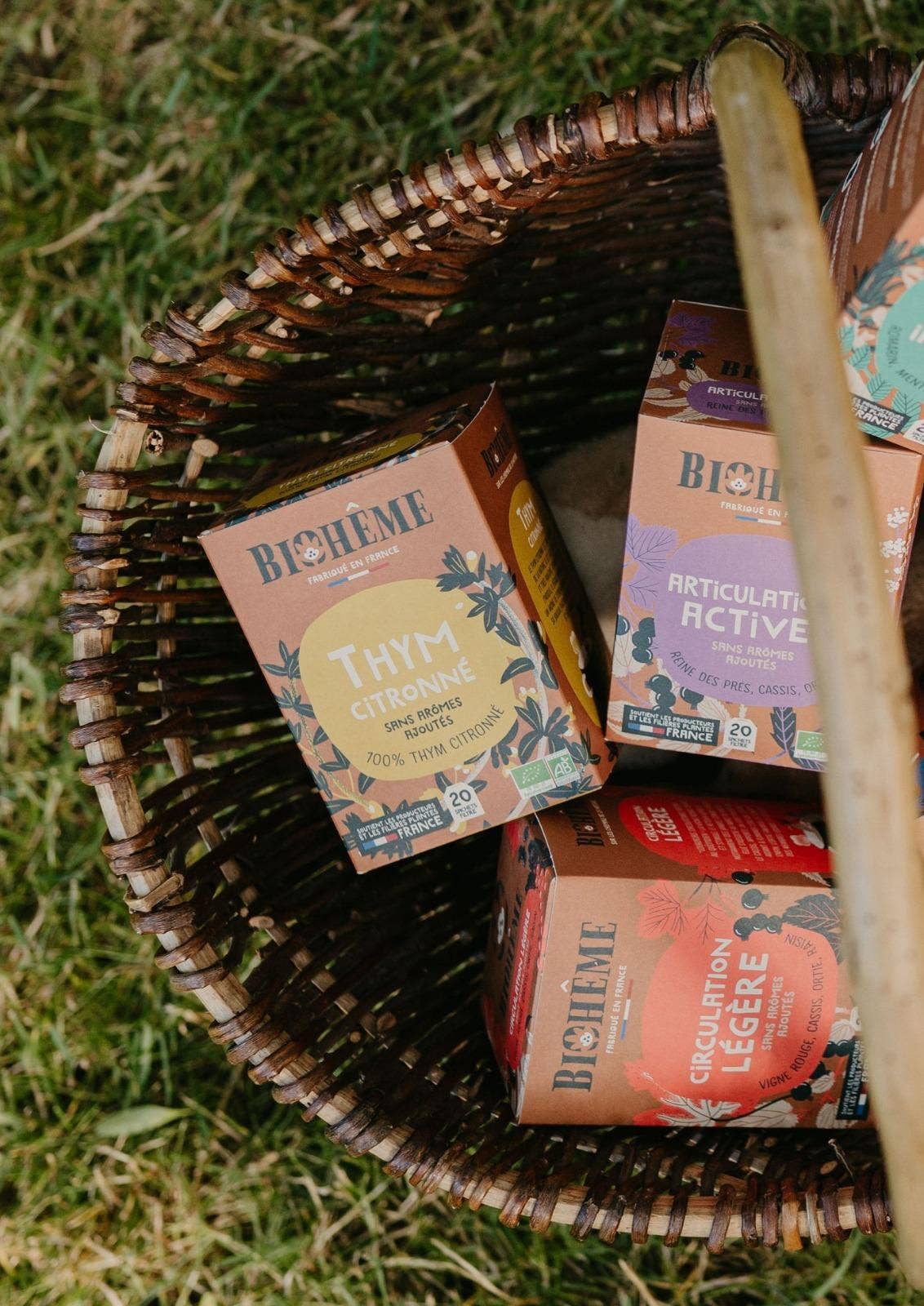 Zitronenthymian-Aufguss · 20 Teebeutel · Thym Citronné