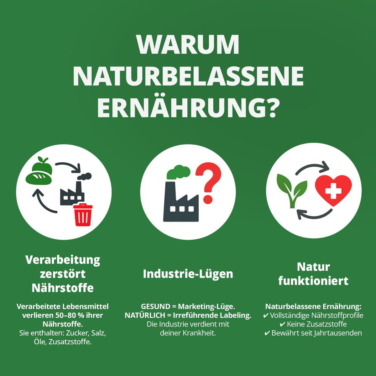 Fabian Kowallik · Die Krankheitslügen