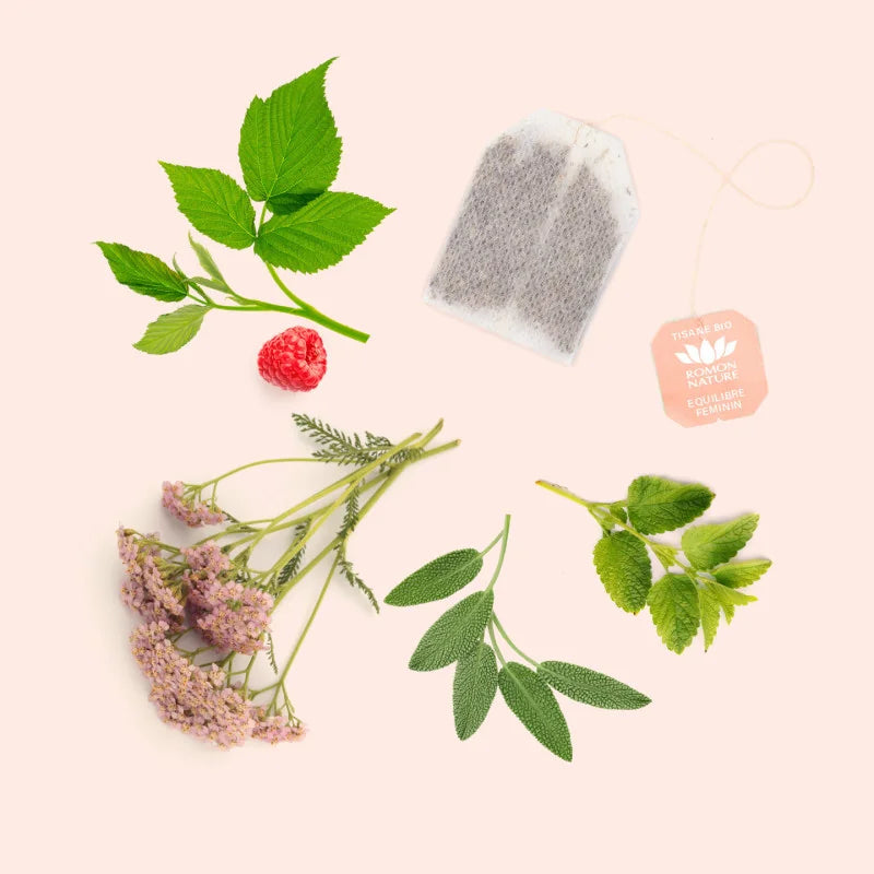 BIO Frauenbalance Tee · Équilibre Féminin