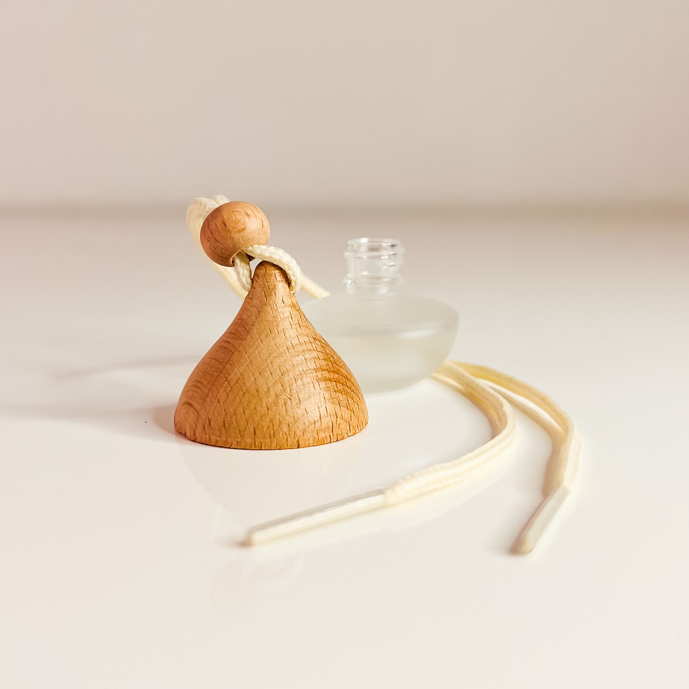 Autodiffuser-Flasche Polly