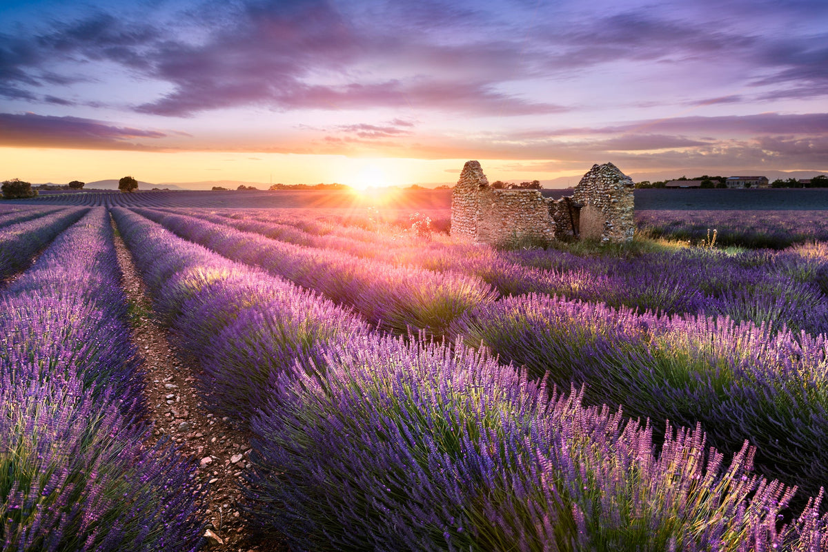 Provence d’Antan
