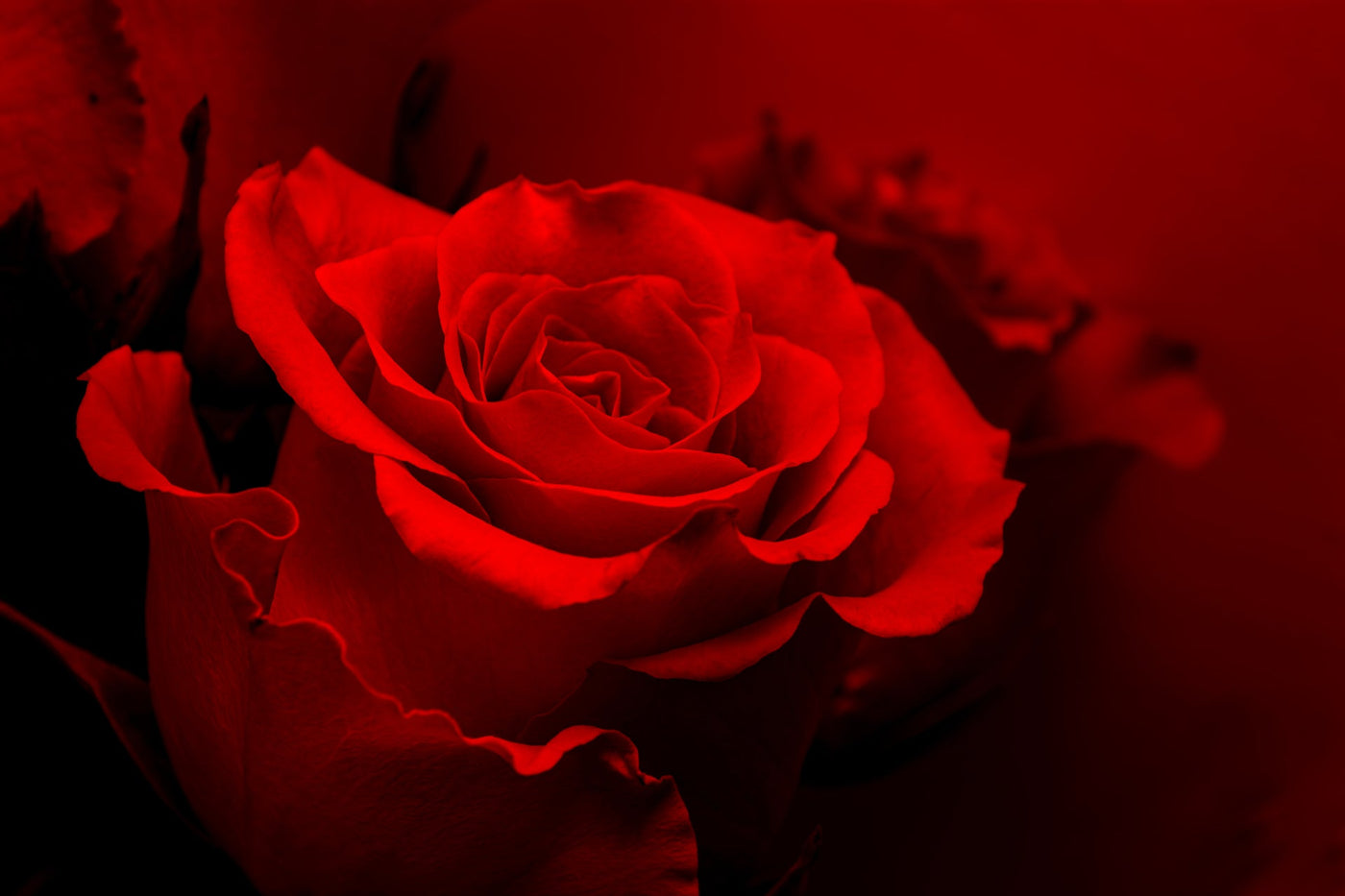 Aromamour · Liebeslust