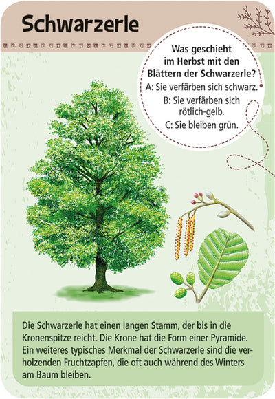 Expedition Natur · 50 heimische Bäume