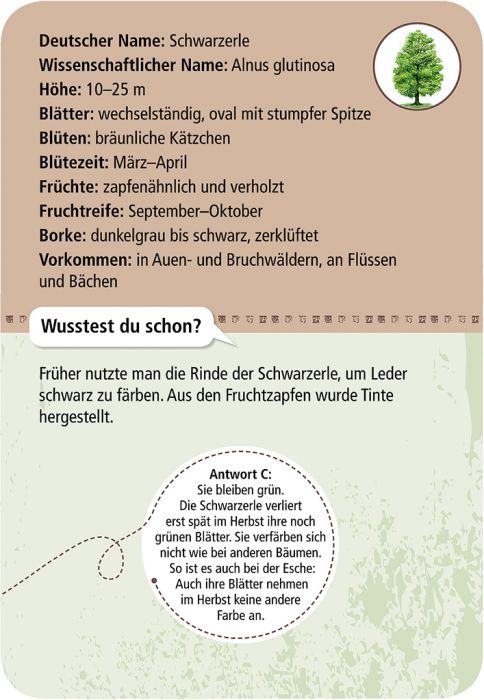 Expedition Natur · 50 heimische Bäume