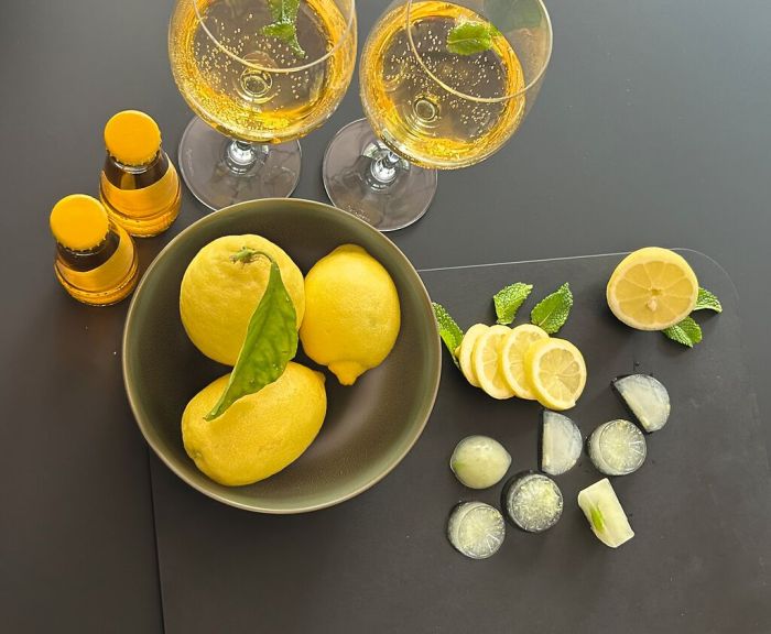 Eiswürfelform "Freezy Lemon"