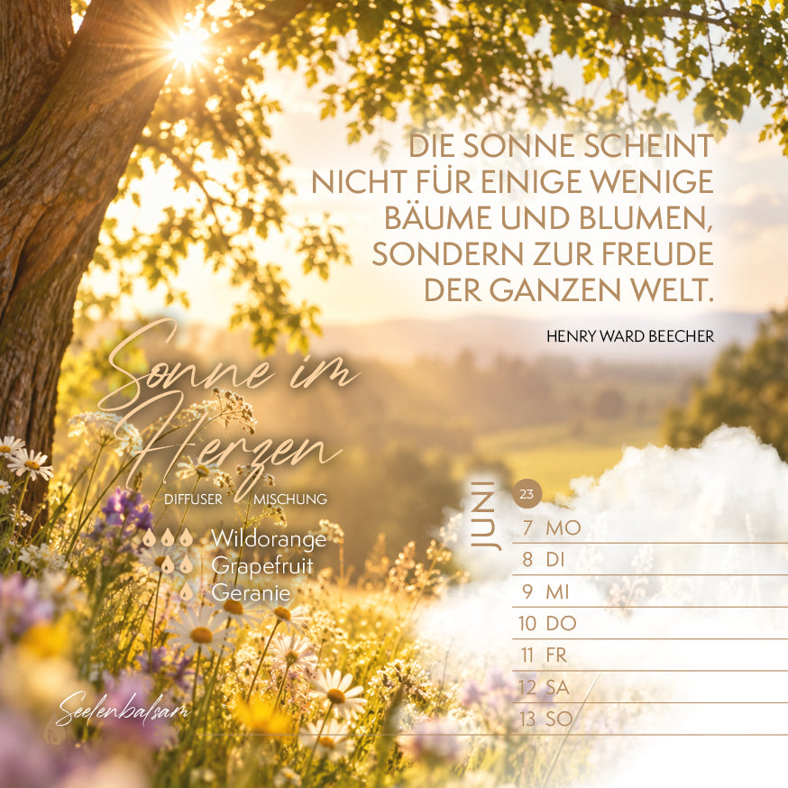 Tischkalender "Seelenbalsam · Essenzielle Lebensfreude 2027"