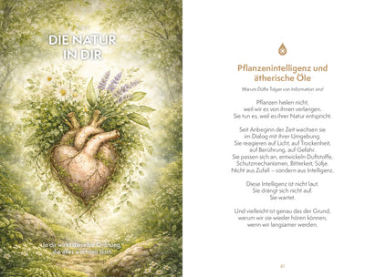 Alexandra Schneider · Öffne die Fenster zu deiner inneren Apotheke