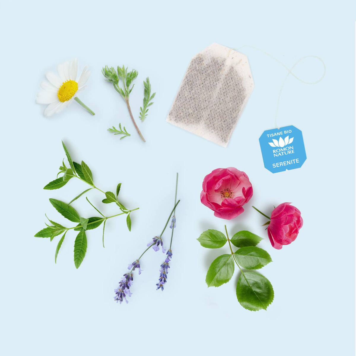Bio-Kräutertee „Serenite“ - mit Verbene, Kamille, Lavendel & Rose
