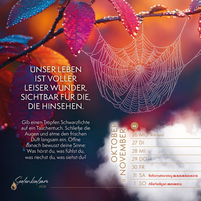 Tischkalender "Seelenbalsam · Essenzielle Lebensfreude 2026"