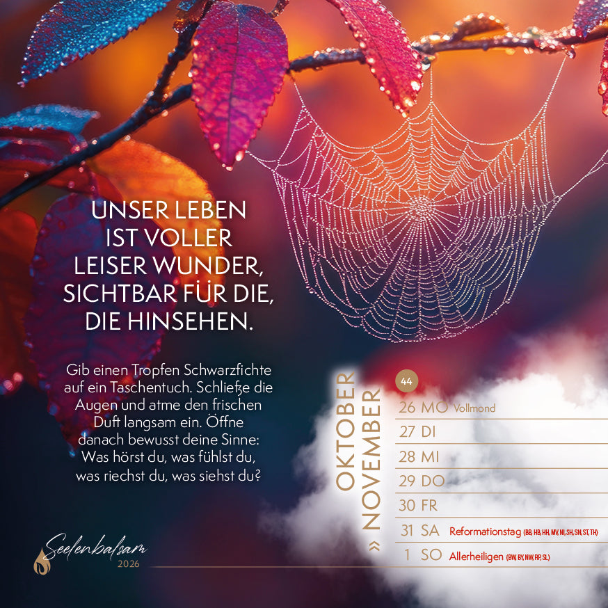 Tischkalender "Seelenbalsam · Essenzielle Lebensfreude 2026"
