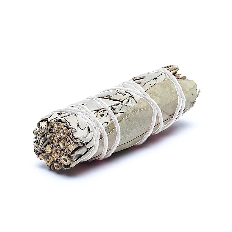 Weißer Salbei Smudge mit Eukalyptus 2er-Set