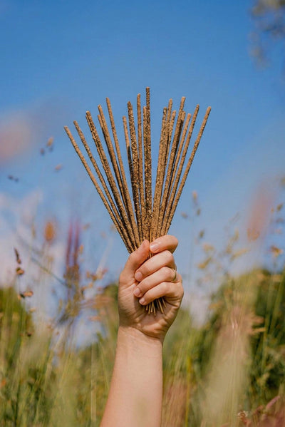 Räucherwerk Palo Santo & Zitronengras