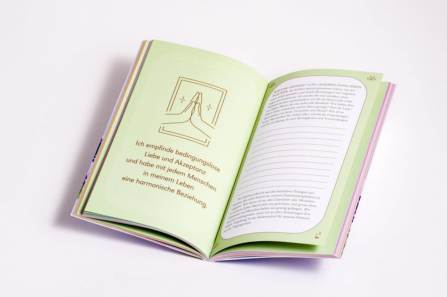 Louise Hay · Die grenzenlose Kraft deiner Gedanken. Das Affirmations-Journal