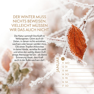 Tischkalender "Seelenbalsam · Essenzielle Lebensfreude 2027"