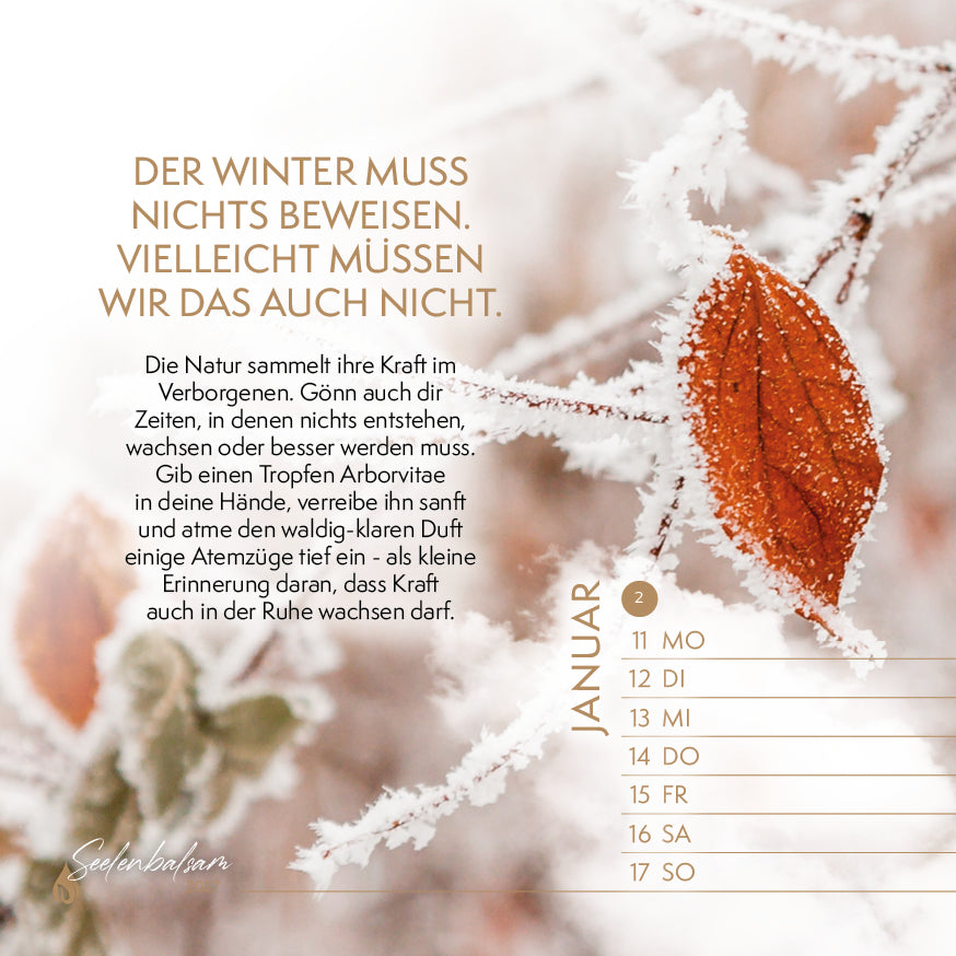 Tischkalender "Seelenbalsam · Essenzielle Lebensfreude 2027"