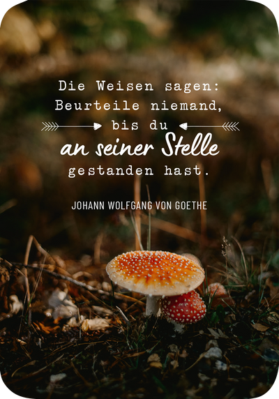 Weisheiten für die Seele · 50 Karten, die Herz und Seele wärmen