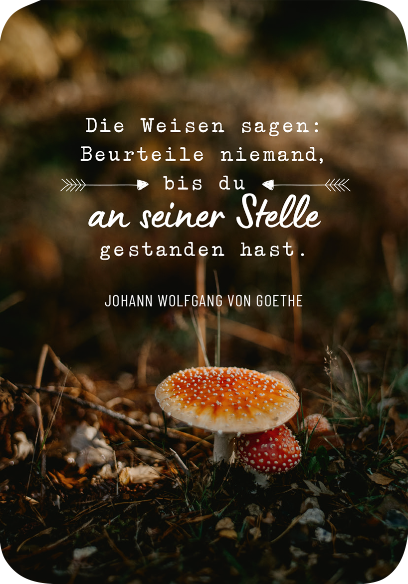 Weisheiten für die Seele · 50 Karten, die Herz und Seele wärmen