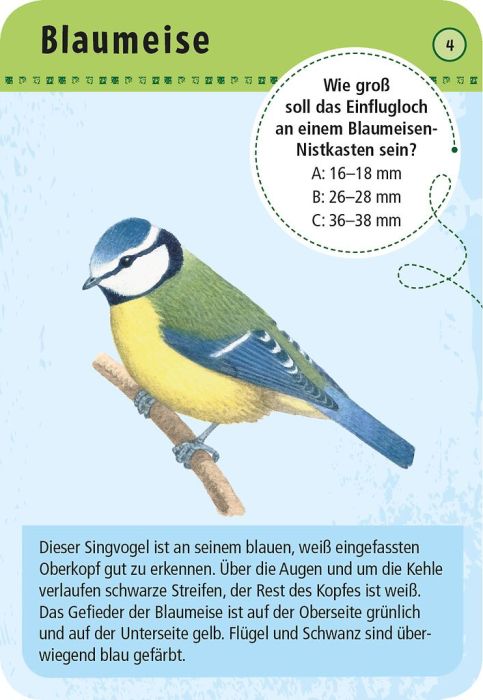 Expedition Natur · 50 heimische Vögel