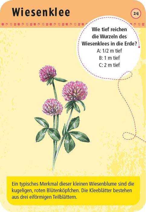 Expedition Natur · 50 heimische Blumen