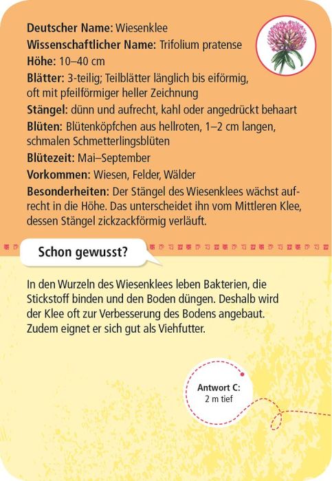 Expedition Natur · 50 heimische Blumen