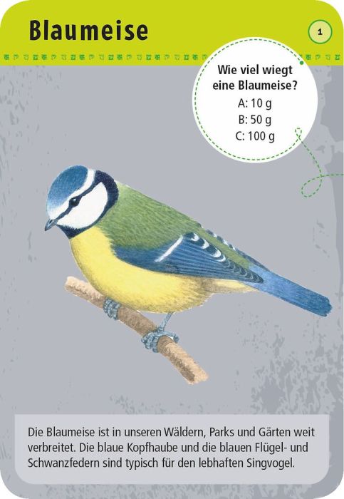 Expedition Natur · 50 heimische Tiere in Stadt & Garten