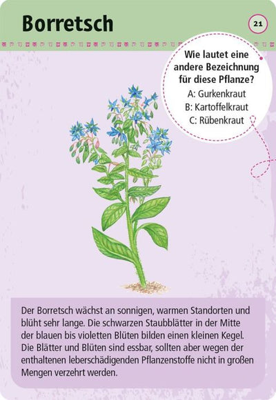 Expedition Natur · 50 essbare Wildpflanzen