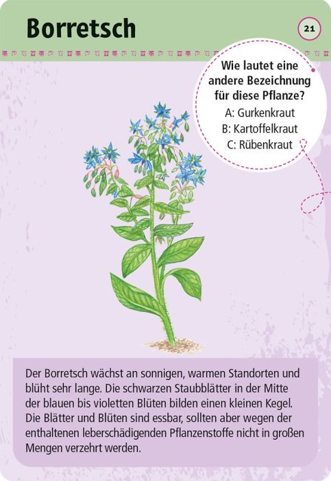 Expedition Natur · 50 essbare Wildpflanzen