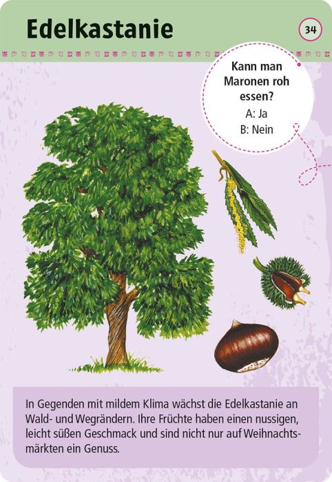 Expedition Natur · 50 essbare Wildpflanzen