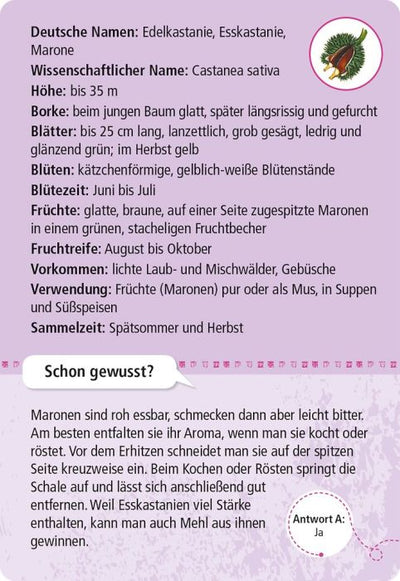 Expedition Natur · 50 essbare Wildpflanzen