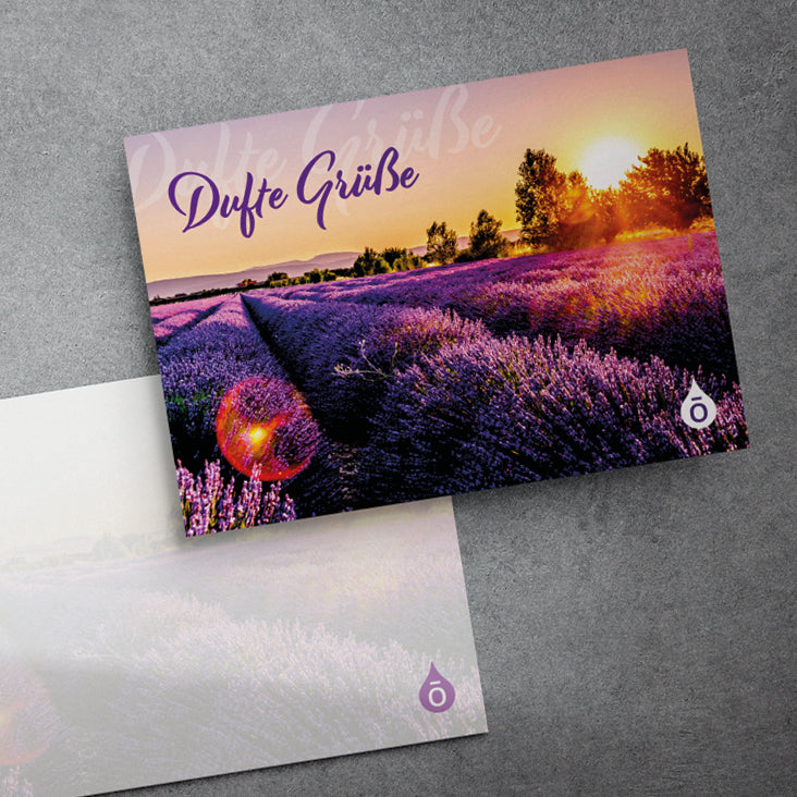 Postkarte "Dufte Grüße Macron" im 10er-Set