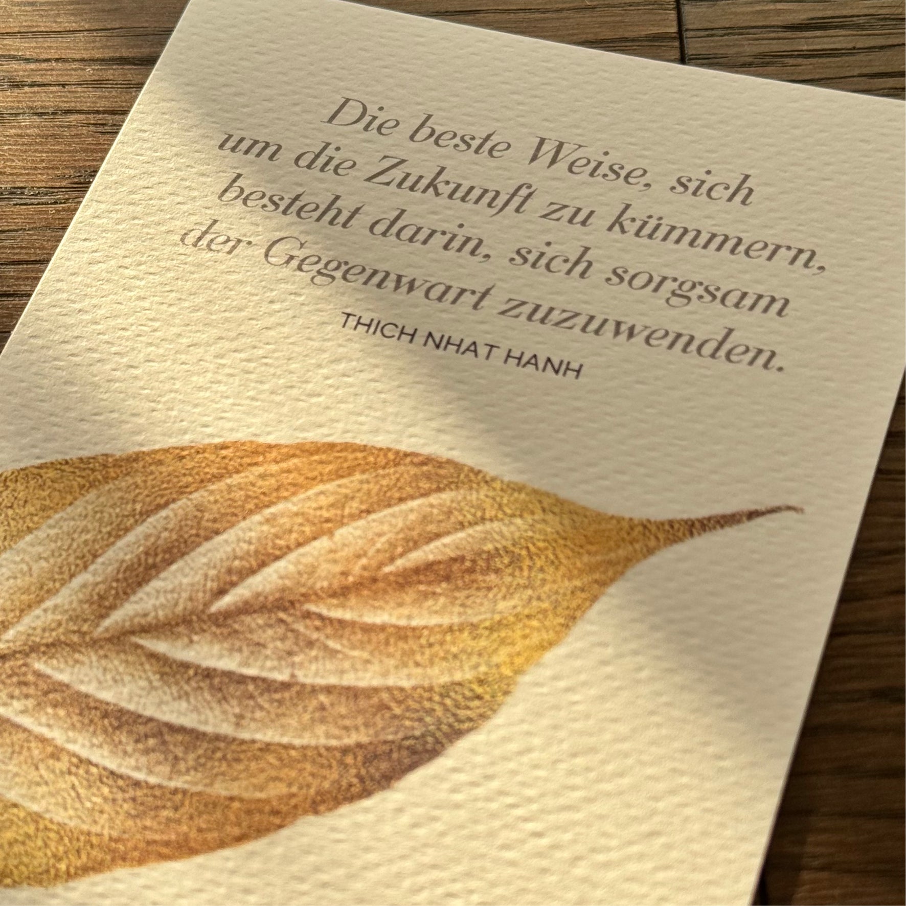 Seelenbalsam · Die Oilando-Postkartenkollektion · 1st Edition