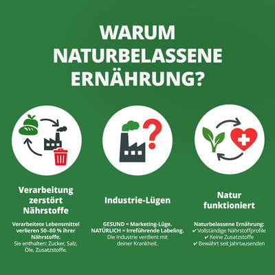 Fabian Kowallik · Die Krankheitslügen