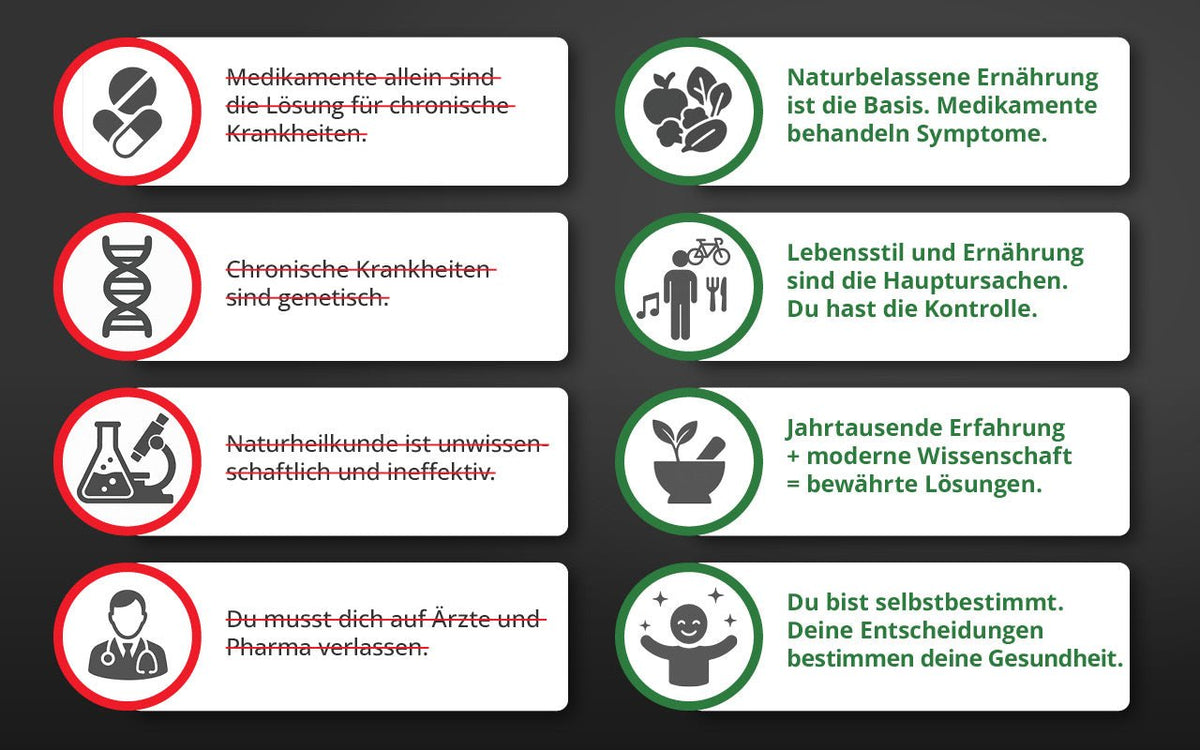 Fabian Kowallik · Die Krankheitslügen
