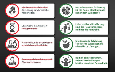 Fabian Kowallik · Die Krankheitslügen