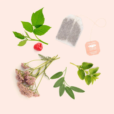 BIO Frauenbalance Tee · Équilibre Féminin