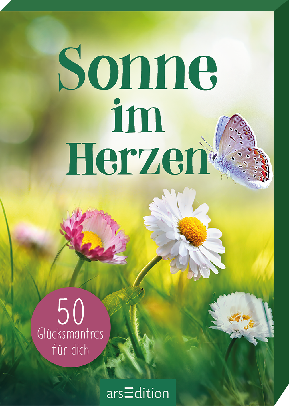 Beschädigte Verpackung 📦 Sonne im Herzen